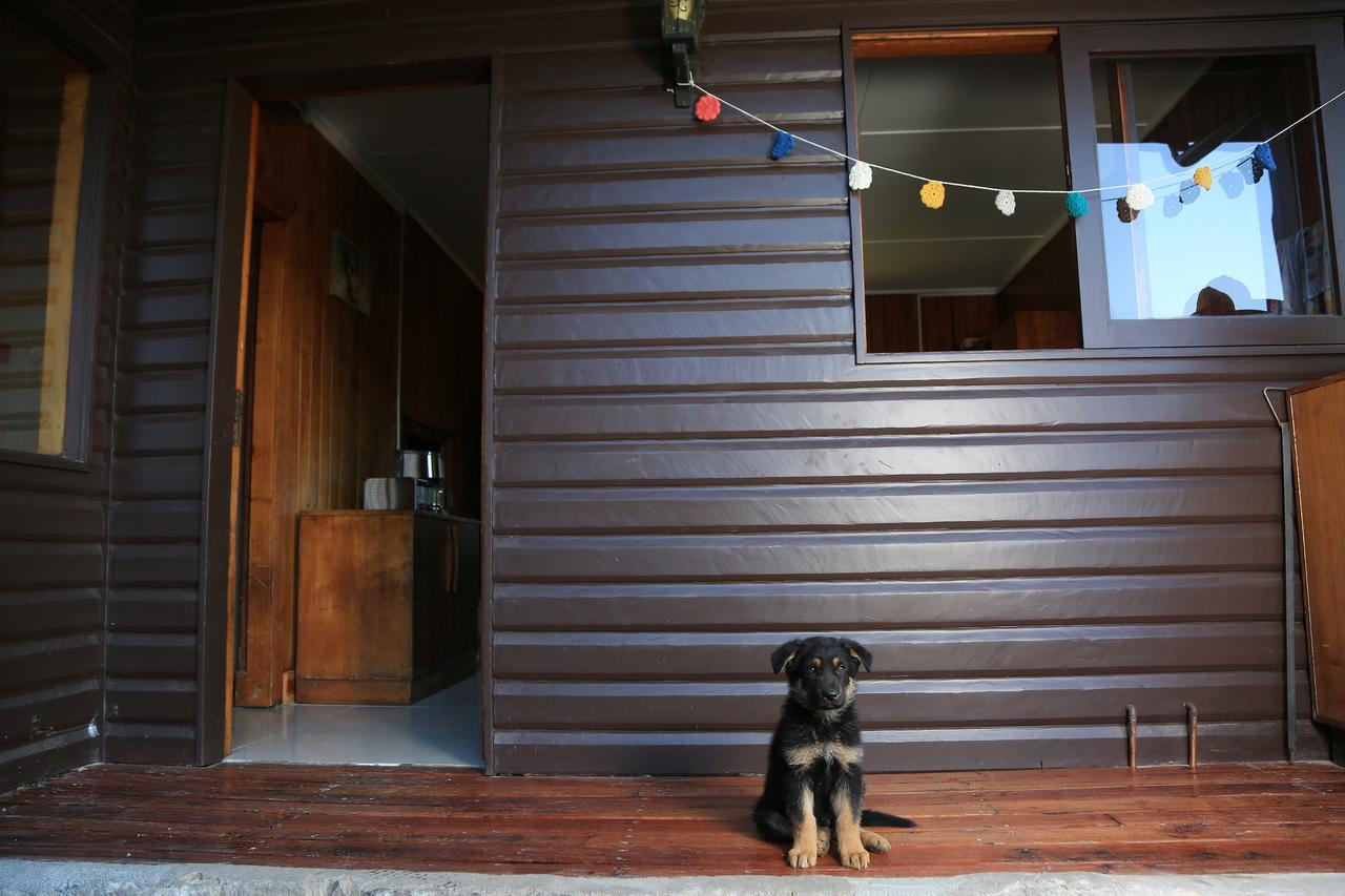 Lucky'S Hostel Pucon Exterior photo